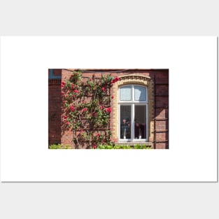 Window with climbing roses, administration building, Nordwolle industrial monument, Delmenhorst, Lower Saxony, Germany, Europe Posters and Art